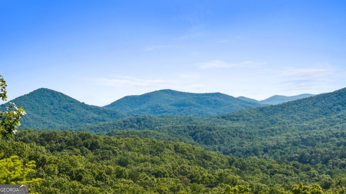 134 Cohutta Overlook Trail Blue Ridge - 55