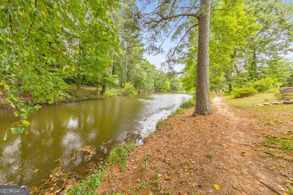 2296 Snug Harbor Marietta - 48