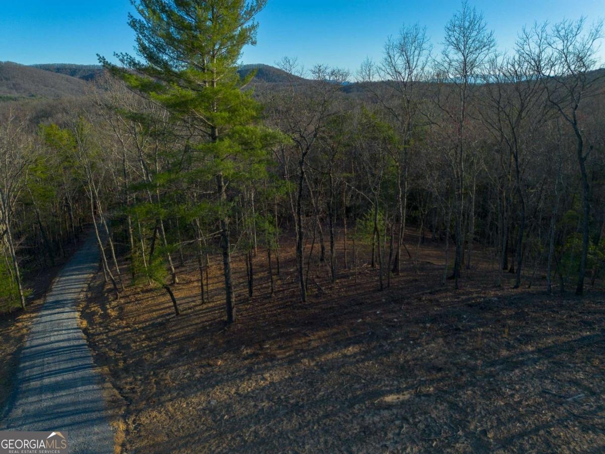 802 Mull Valley Road Morganton - 11