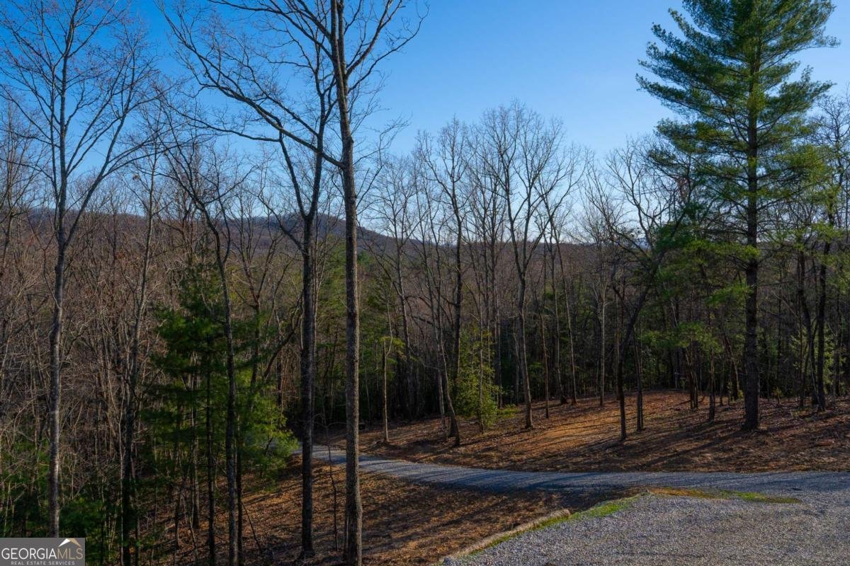 802 Mull Valley Road Morganton - 54