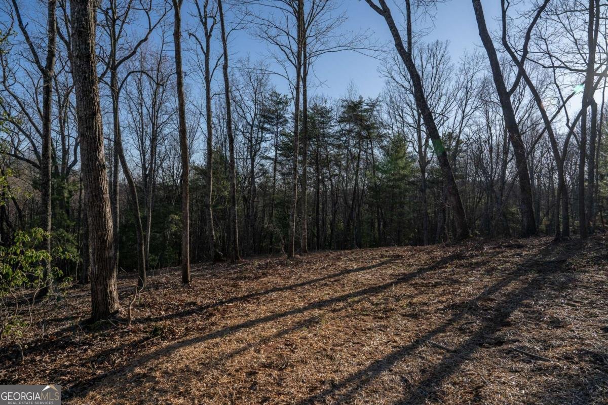802 Mull Valley Road Morganton - 67