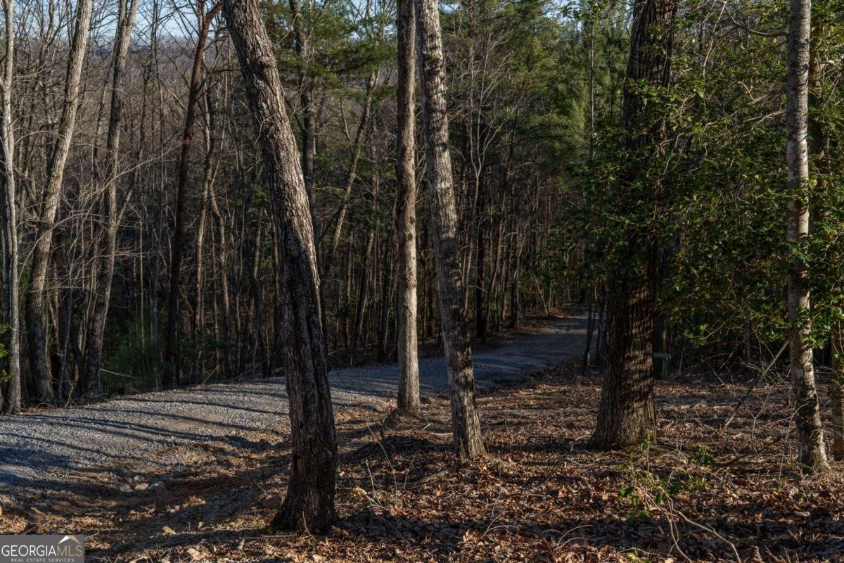802 Mull Valley Road Morganton - 68