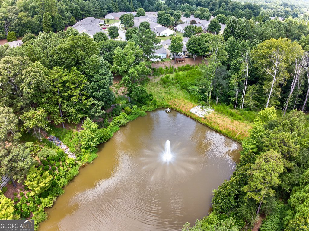 6275 Brookside Lane Hoschton - 13
