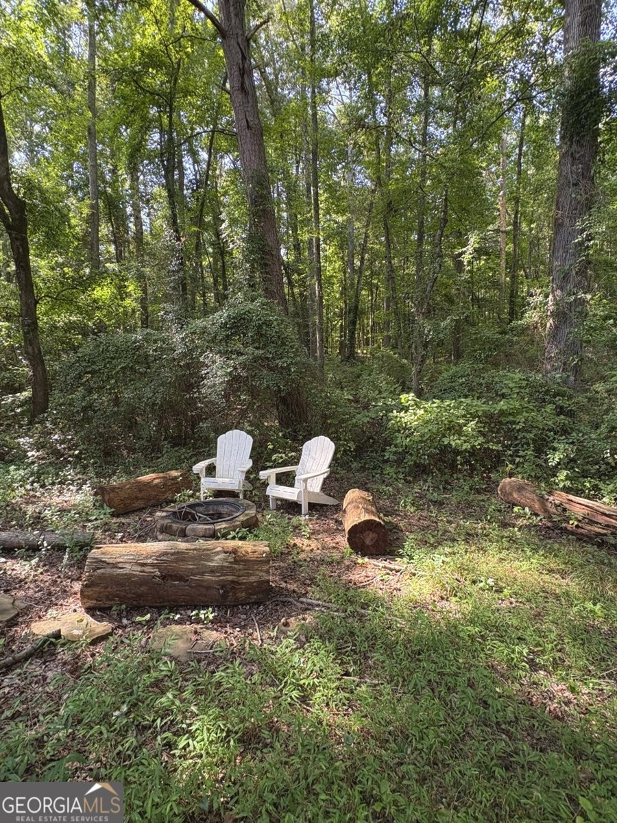1023 Brush Arbor Circle McDonough - 29