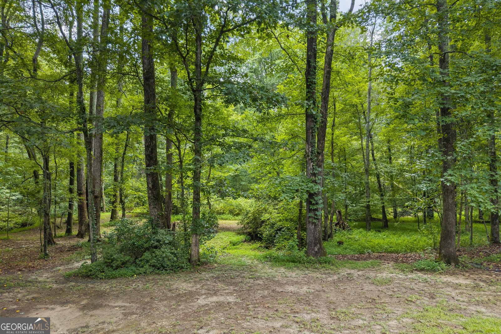 2275 Hamilton Parc Lane Buford - 90
