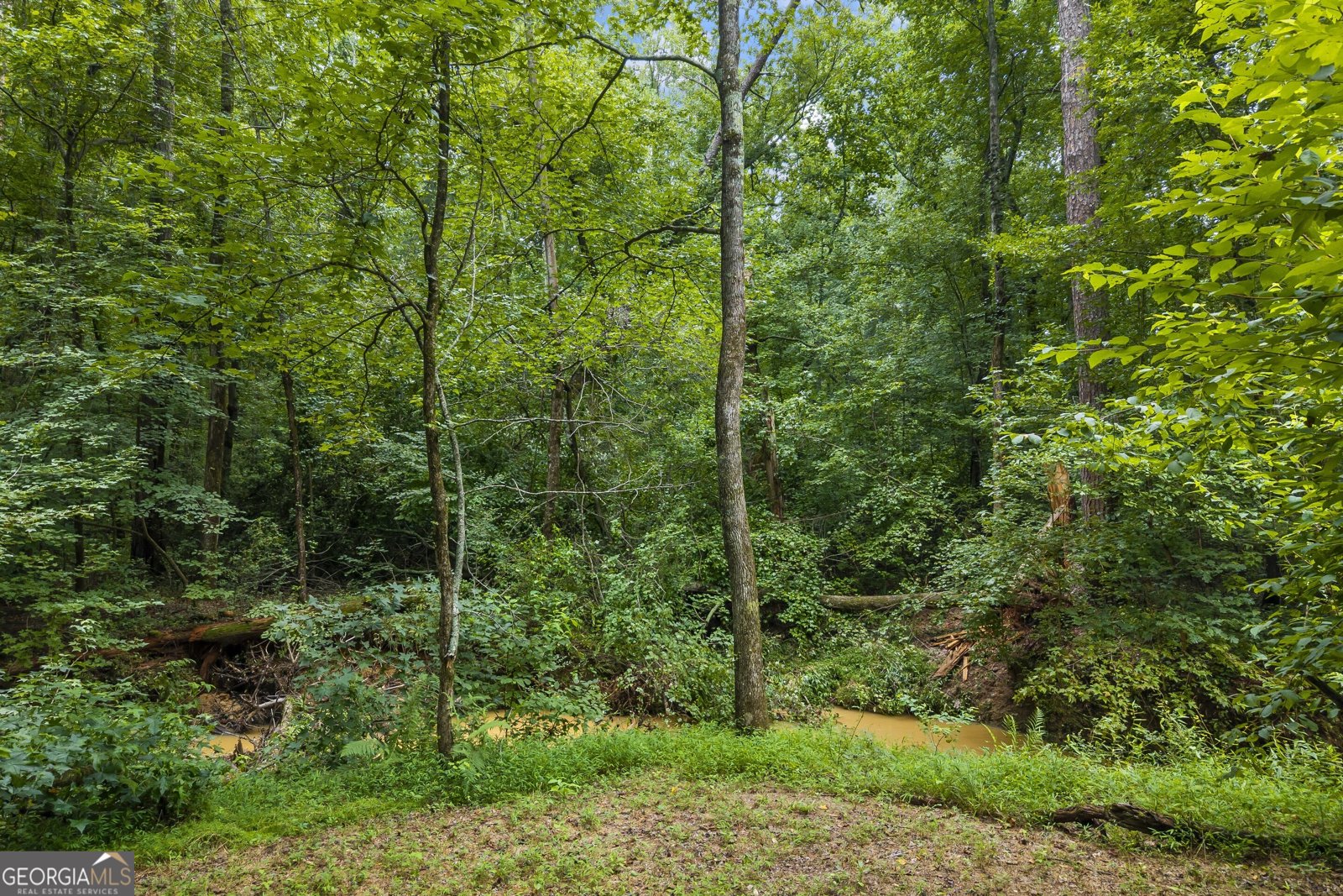 2275 Hamilton Parc Lane Buford - 91
