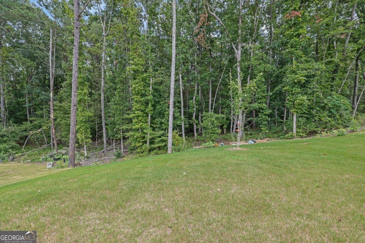 200 Shadwood Place Dawsonville - 4