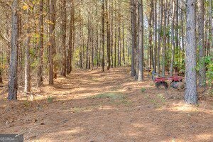 2451 Macedonia Road Franklin - 24