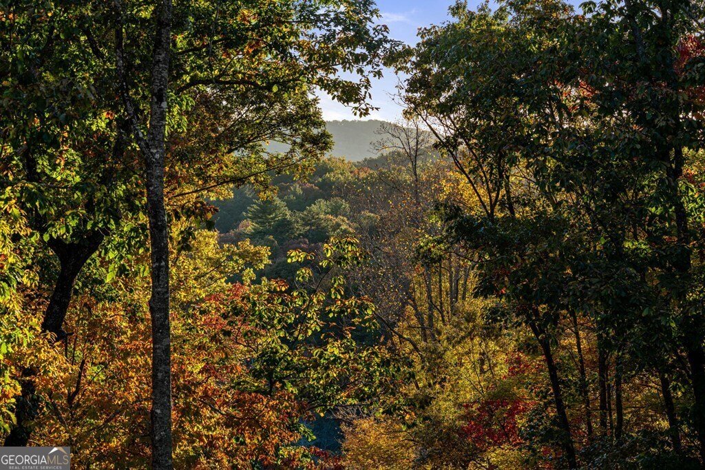 184 High Meadows Court Morganton - 3
