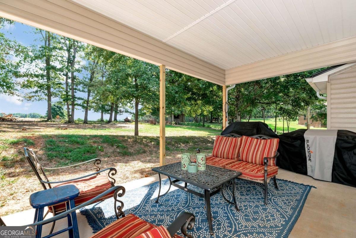 425 New Hope Lane Cornelia - 28