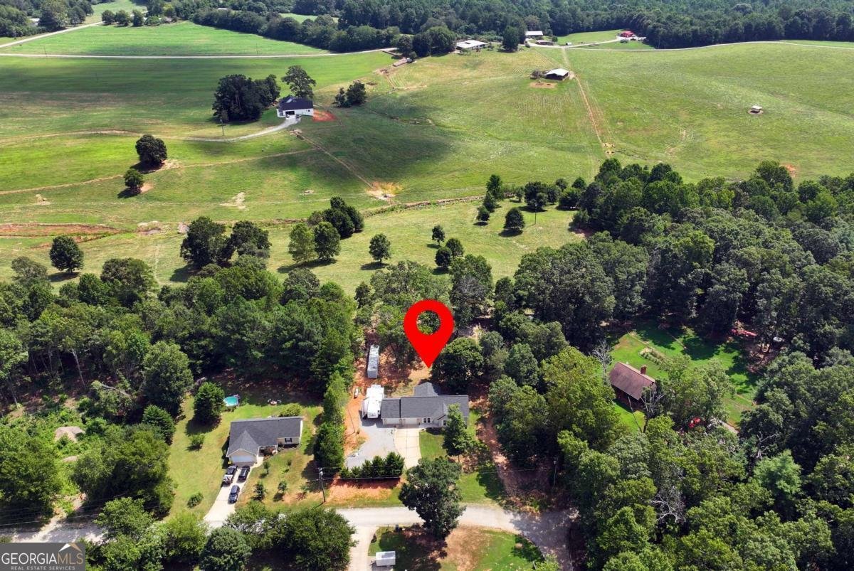 425 New Hope Lane Cornelia - 3