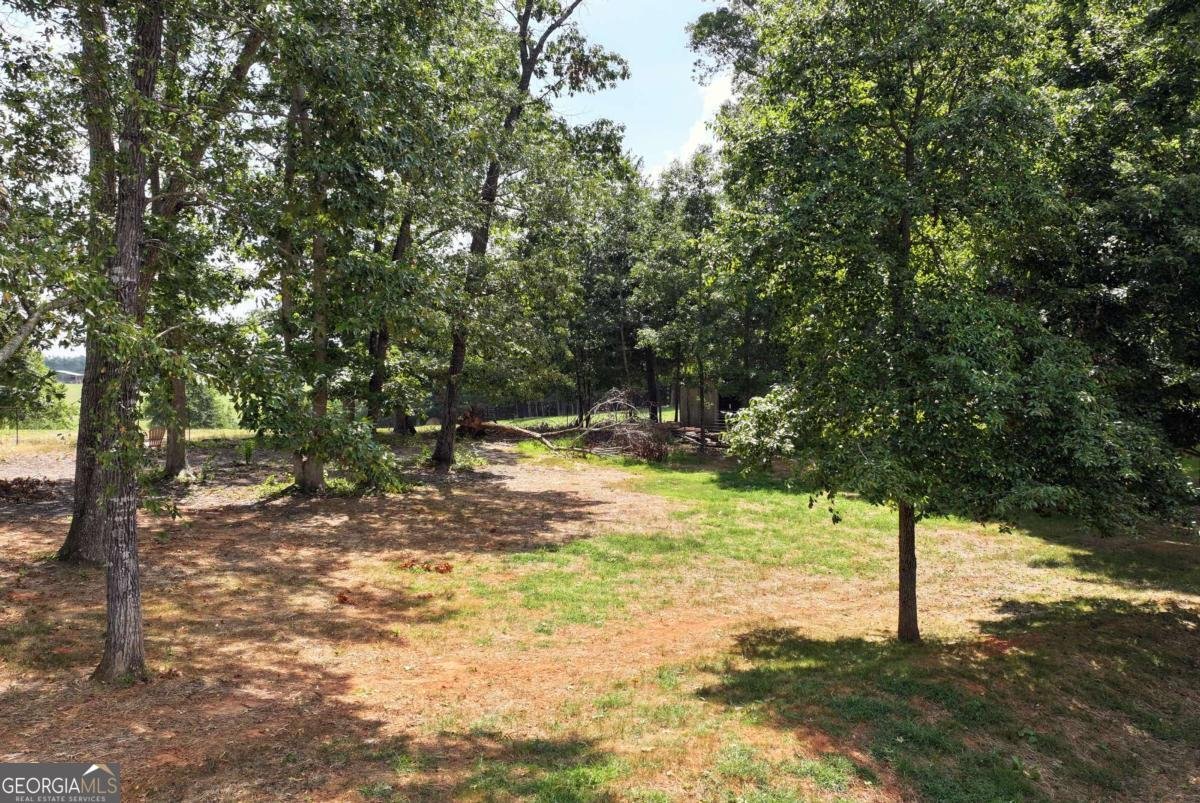 425 New Hope Lane Cornelia - 33
