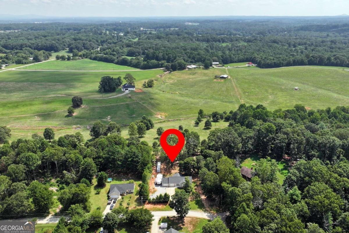 425 New Hope Lane Cornelia - 4