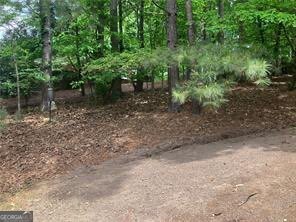 870 Thornberry Drive Alpharetta - 61
