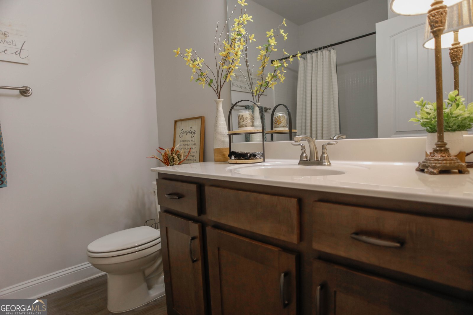 523 Brooks Village Drive Pendergrass - 34