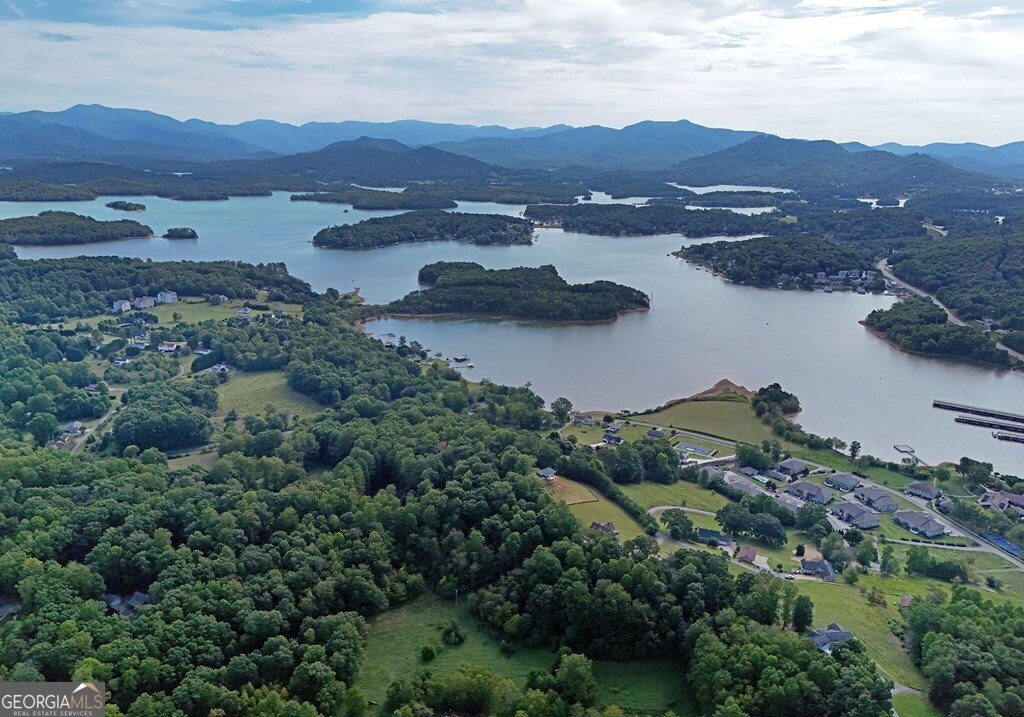 1724-7H Watercrest Way Hiawassee - 52