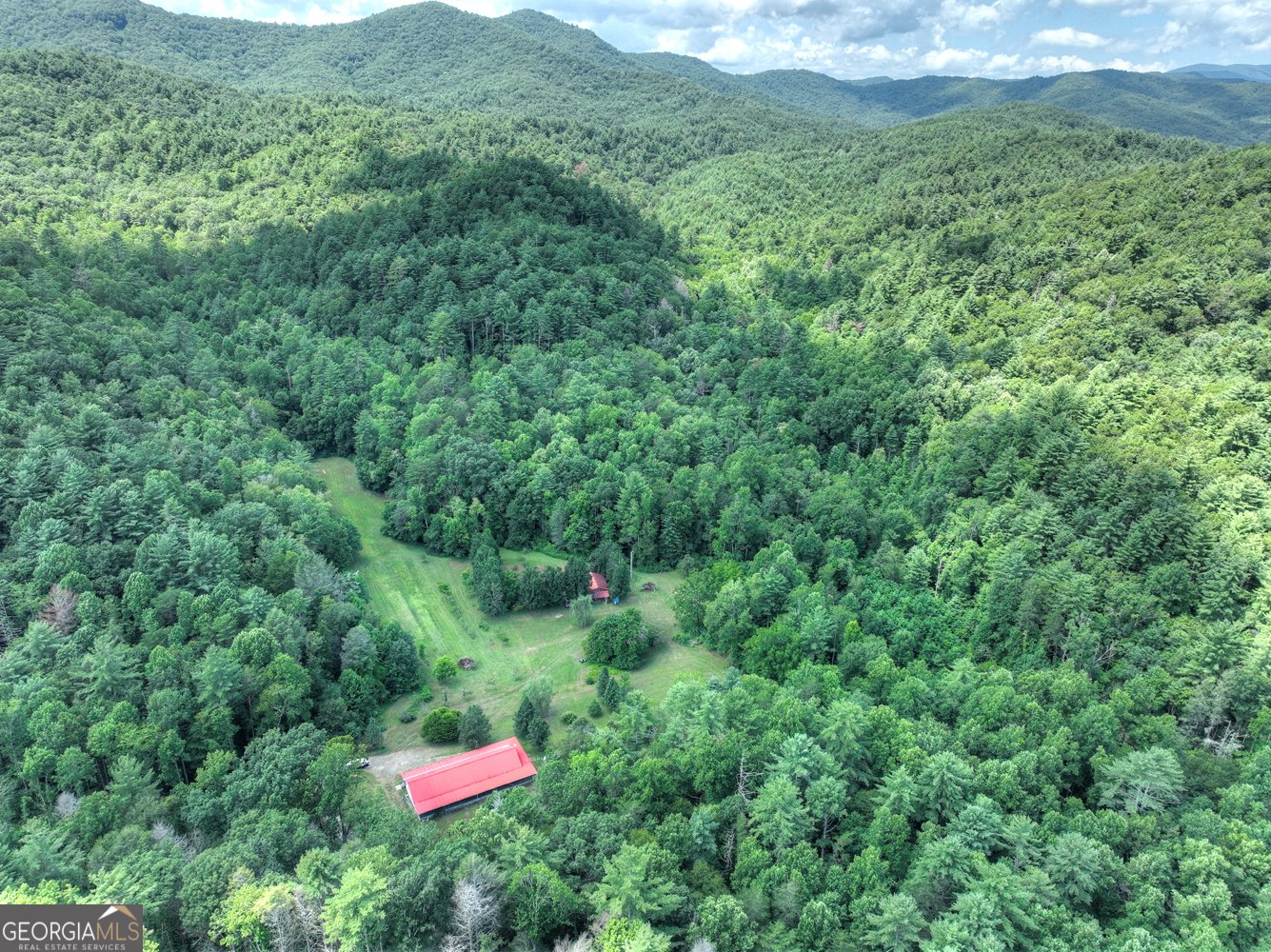 3760 Devils Den Road Epworth - 11