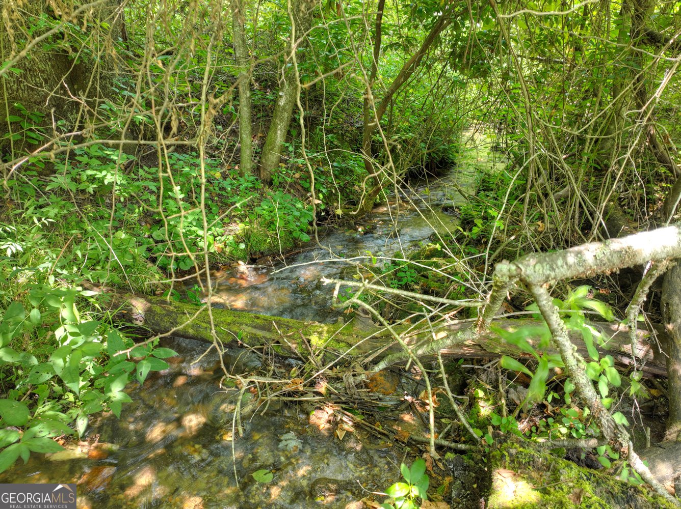 3760 Devils Den Road Epworth - 3