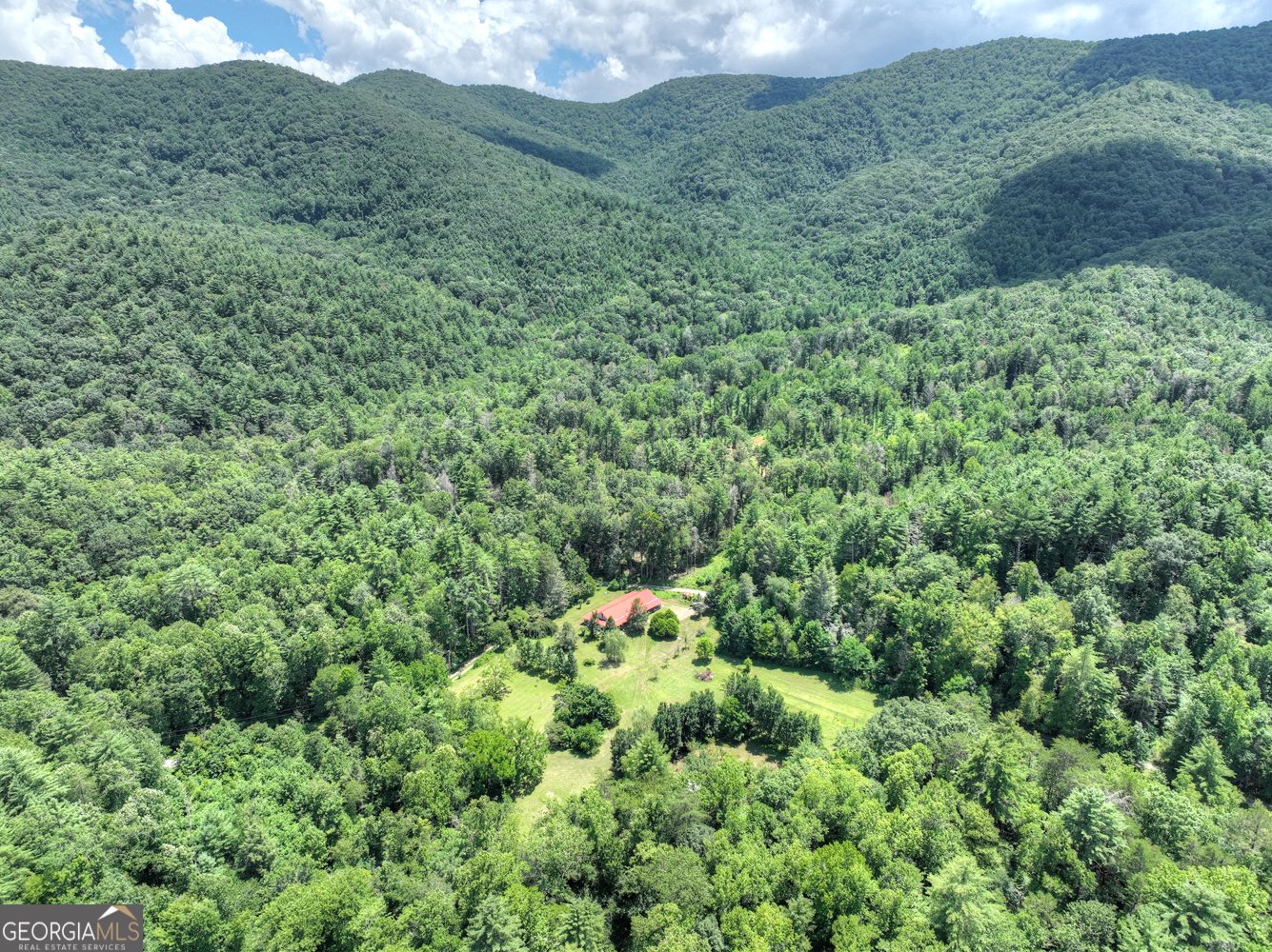 3760 Devils Den Road Epworth - 5