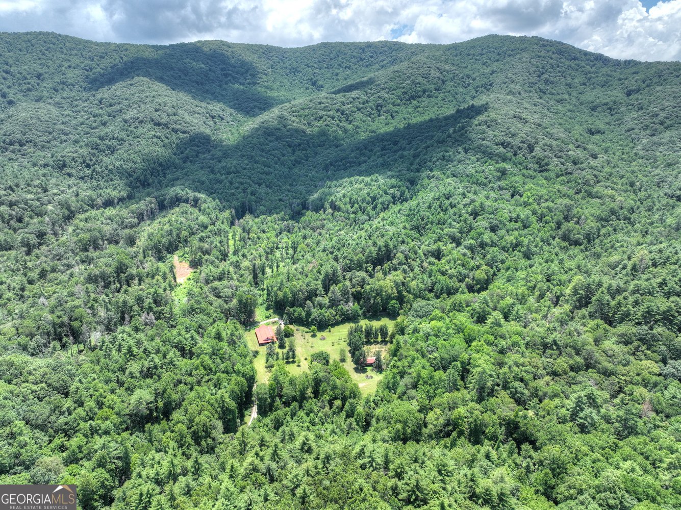 3760 Devils Den Road Epworth - 6