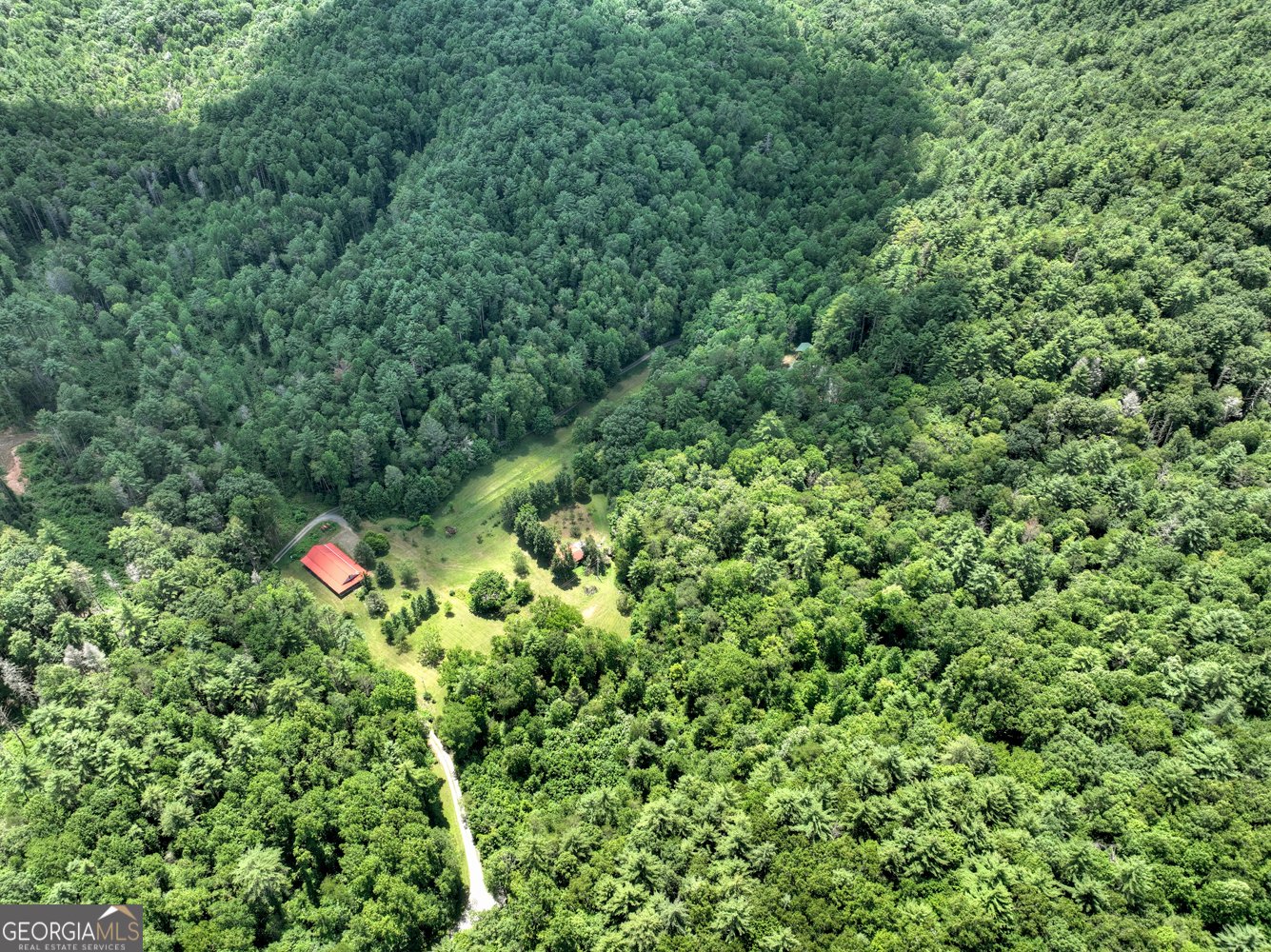3760 Devils Den Road Epworth - 9