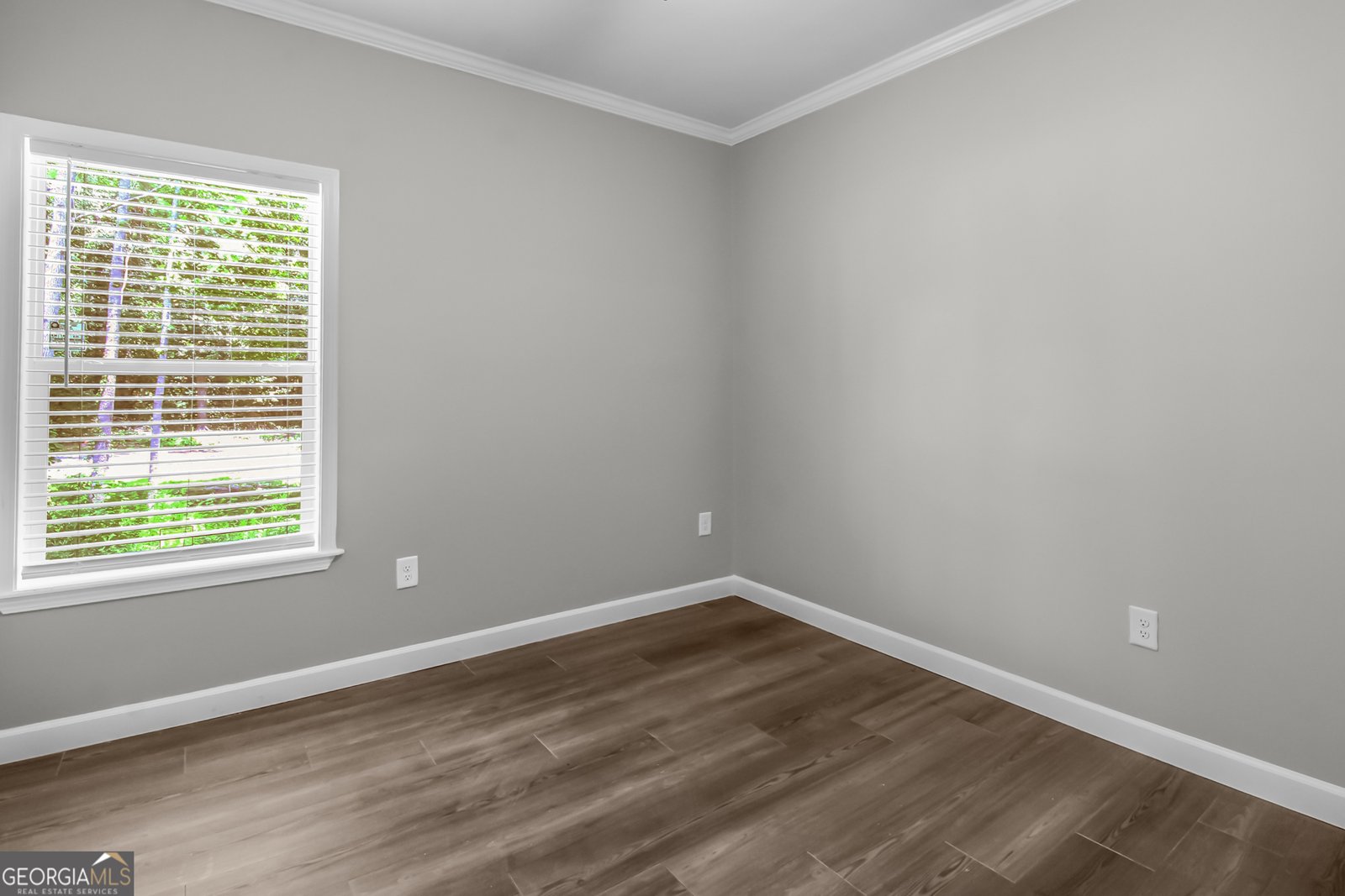 19 Pecan Street Ludowici - 2