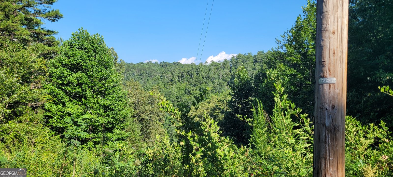 371 Wilderness Lake Drive Murphy - 2
