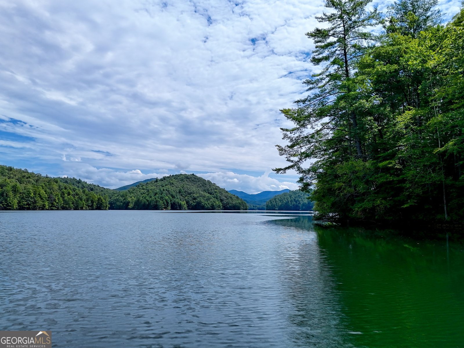 371 Wilderness Lake Drive Murphy - 49