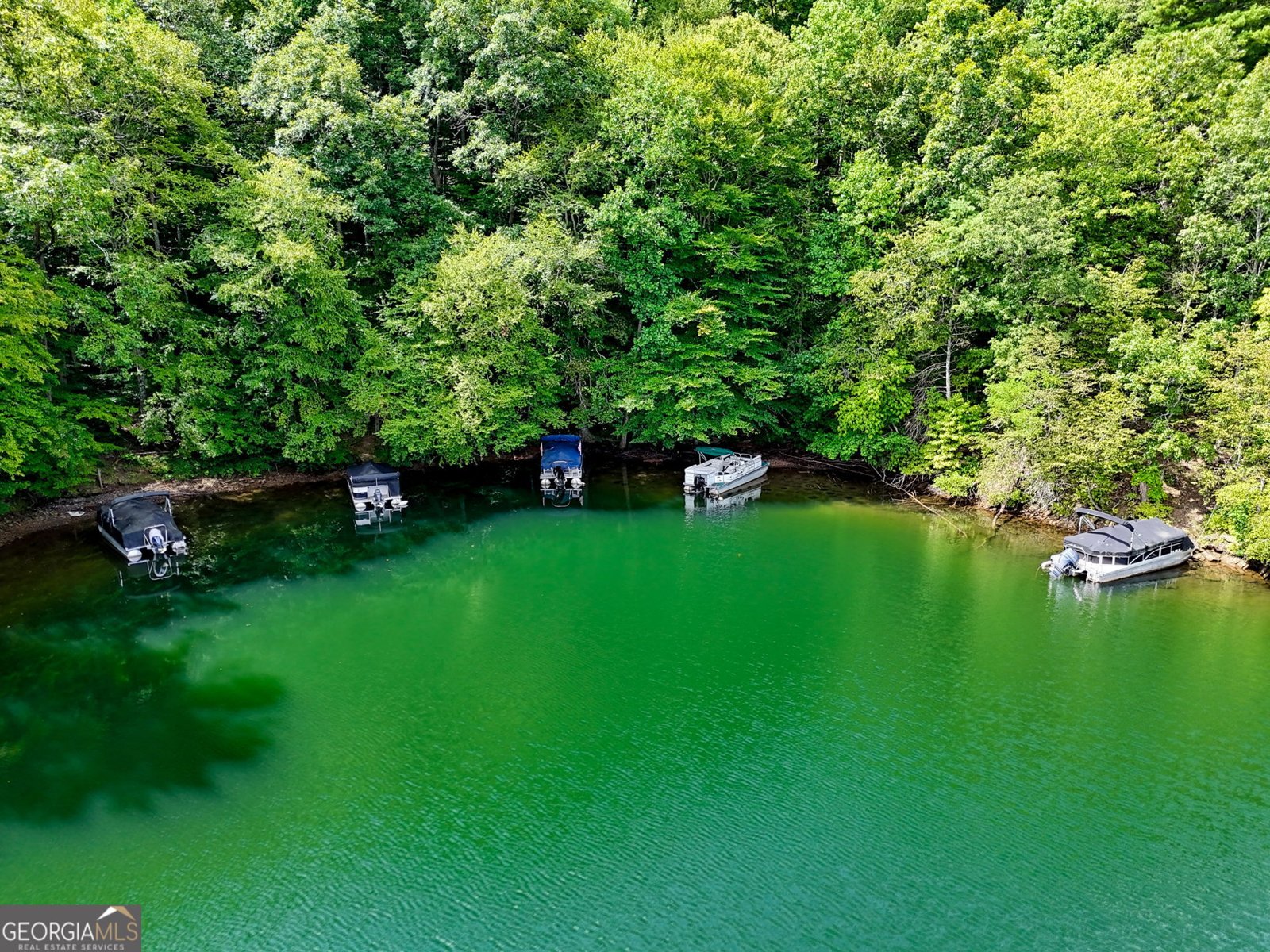 371 Wilderness Lake Drive Murphy - 50