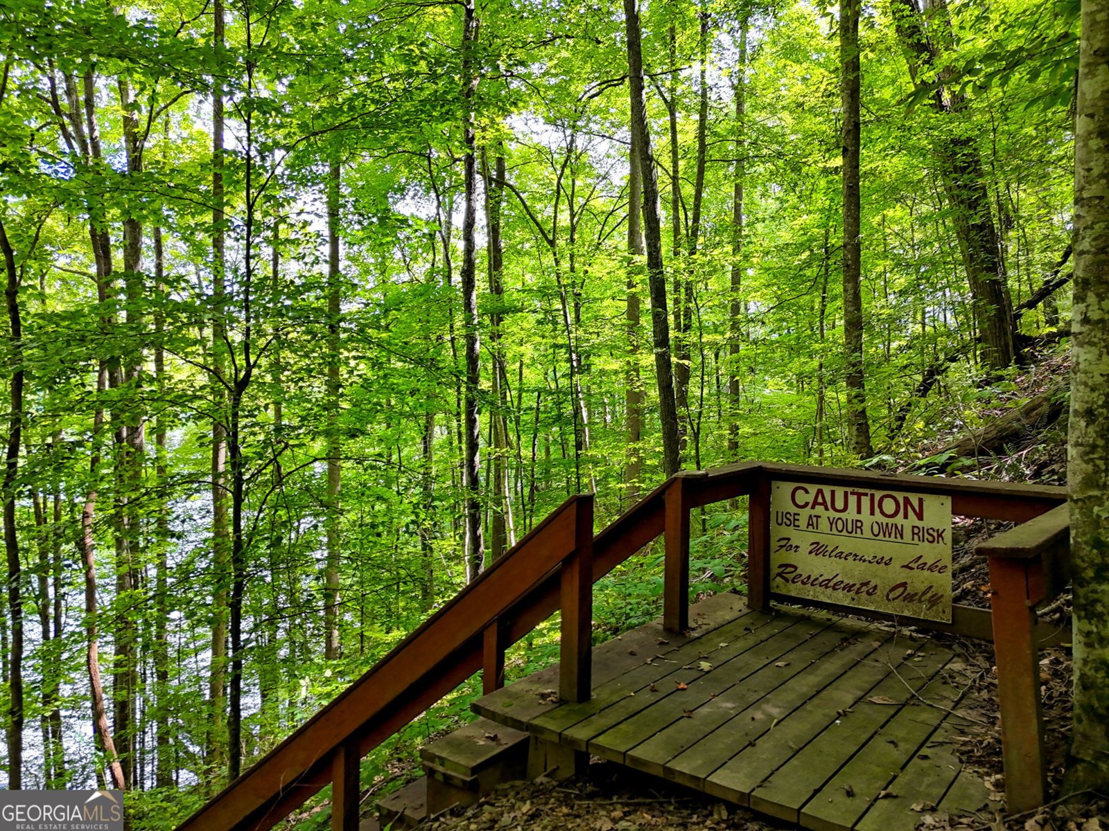 371 Wilderness Lake Drive Murphy - 52