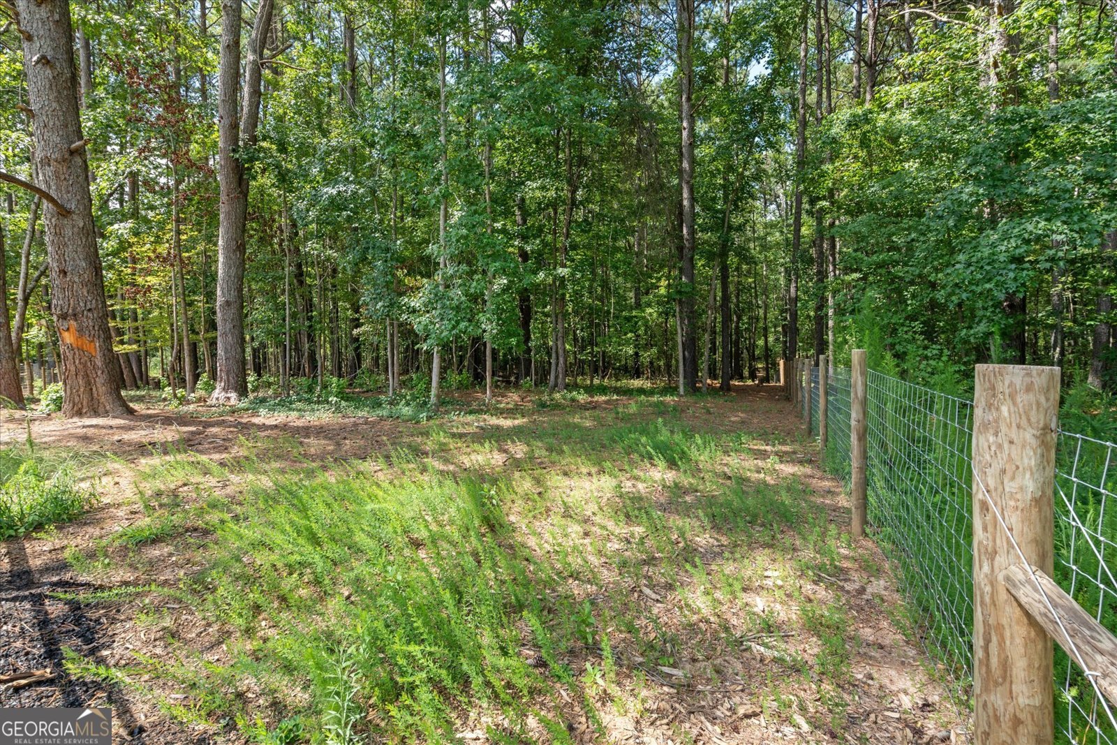 337 Paynes Lake Road Carrollton - 2