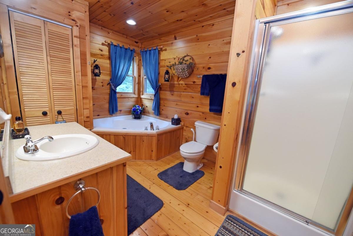 156 Bruce Mountain SPUR Morganton - 43