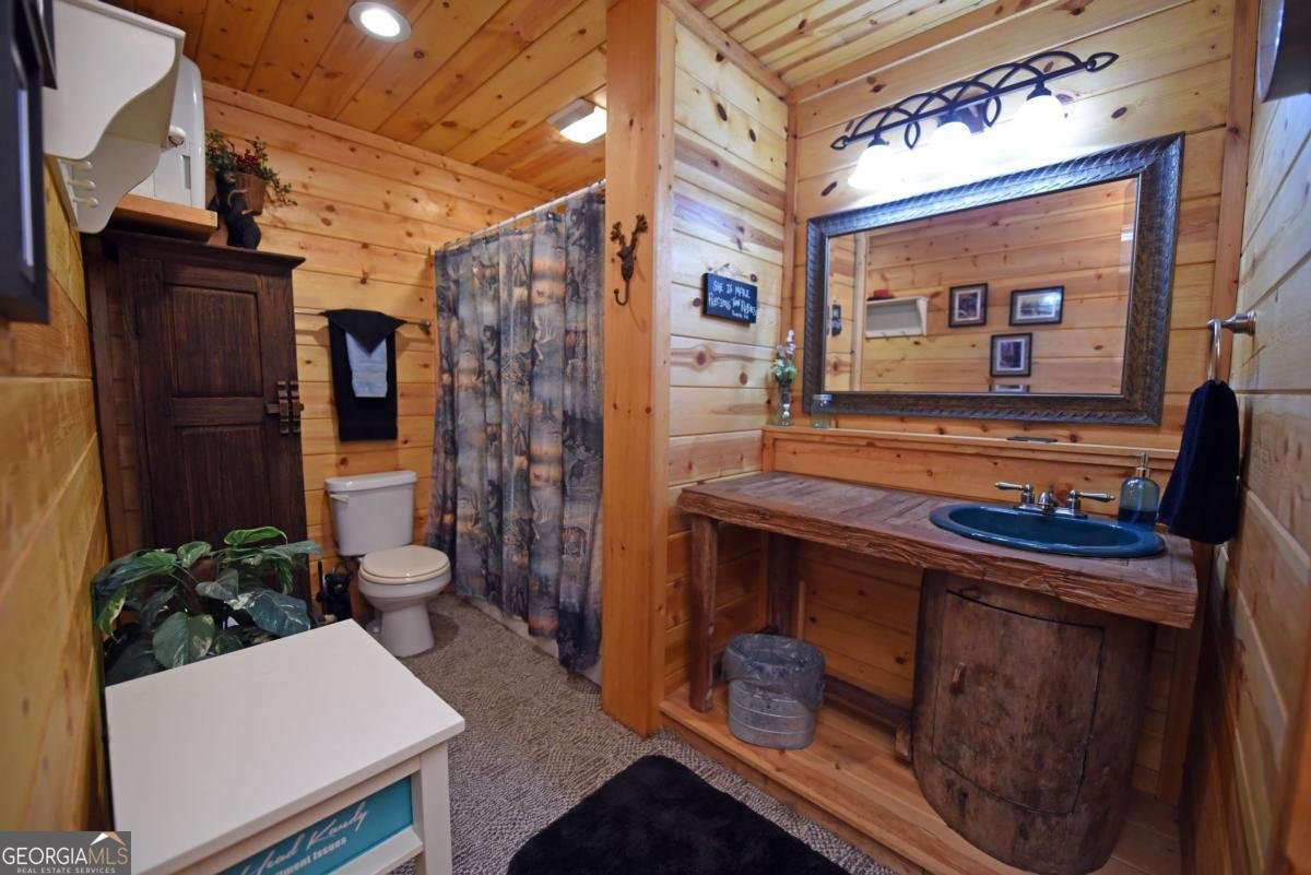 156 Bruce Mountain SPUR Morganton - 50