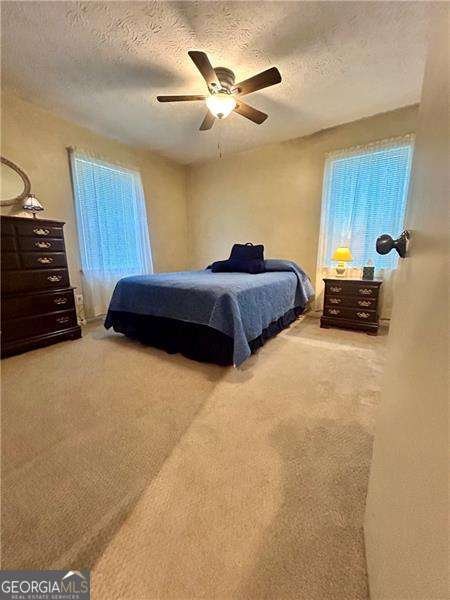 12 Indian River Road Lindale - 19