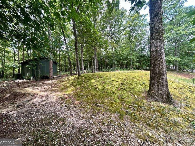 12 Indian River Road Lindale - 9