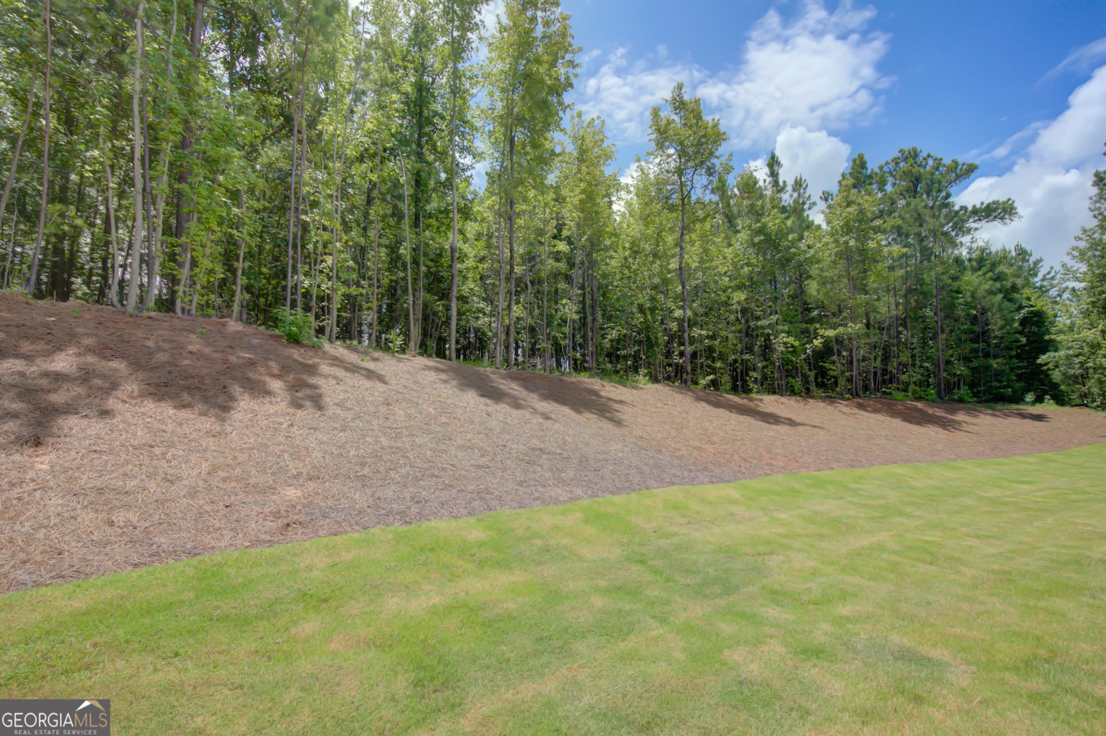 144 Forest Berry Ct. Newnan - 12