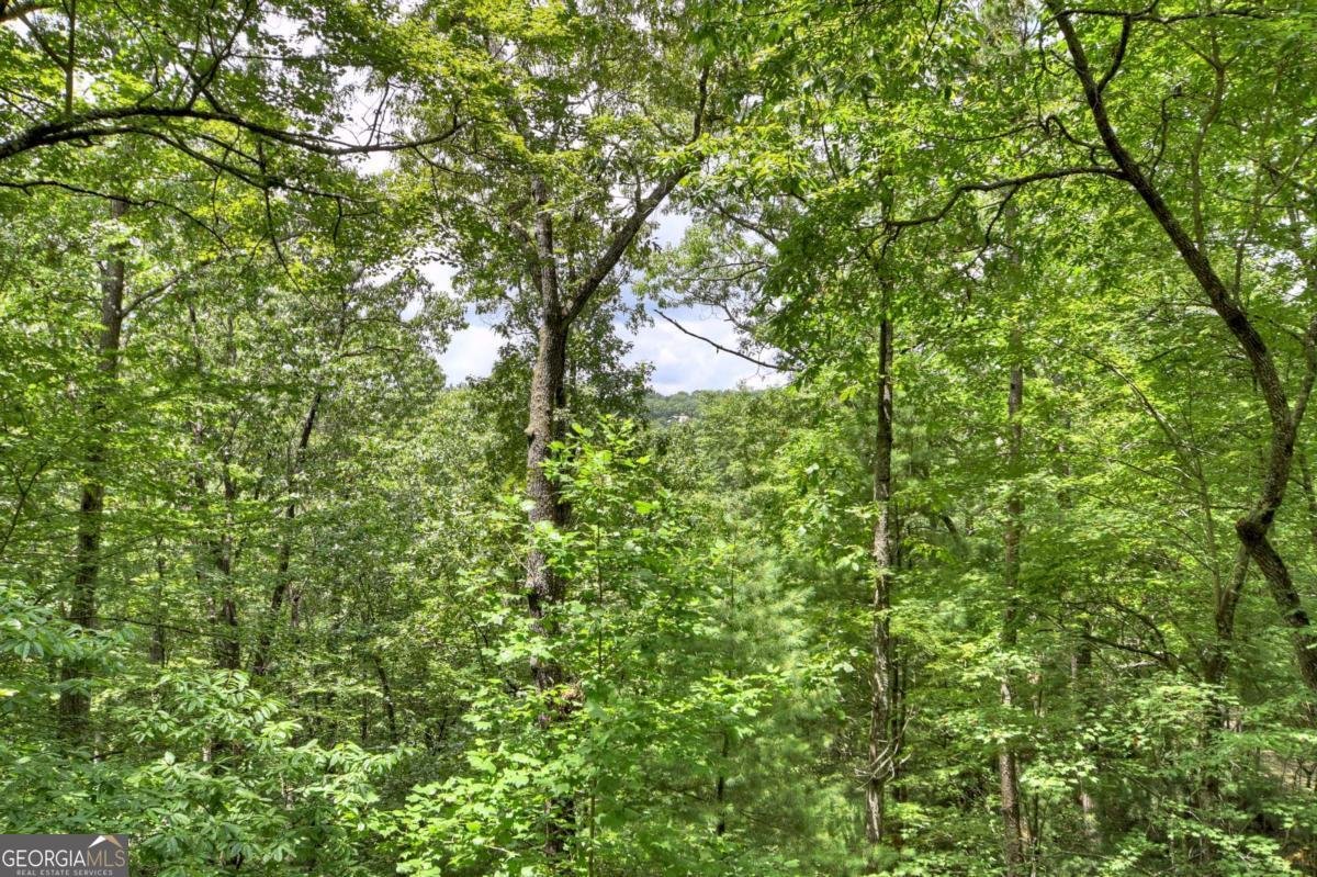 156 Dupont Drive Blue Ridge - 19