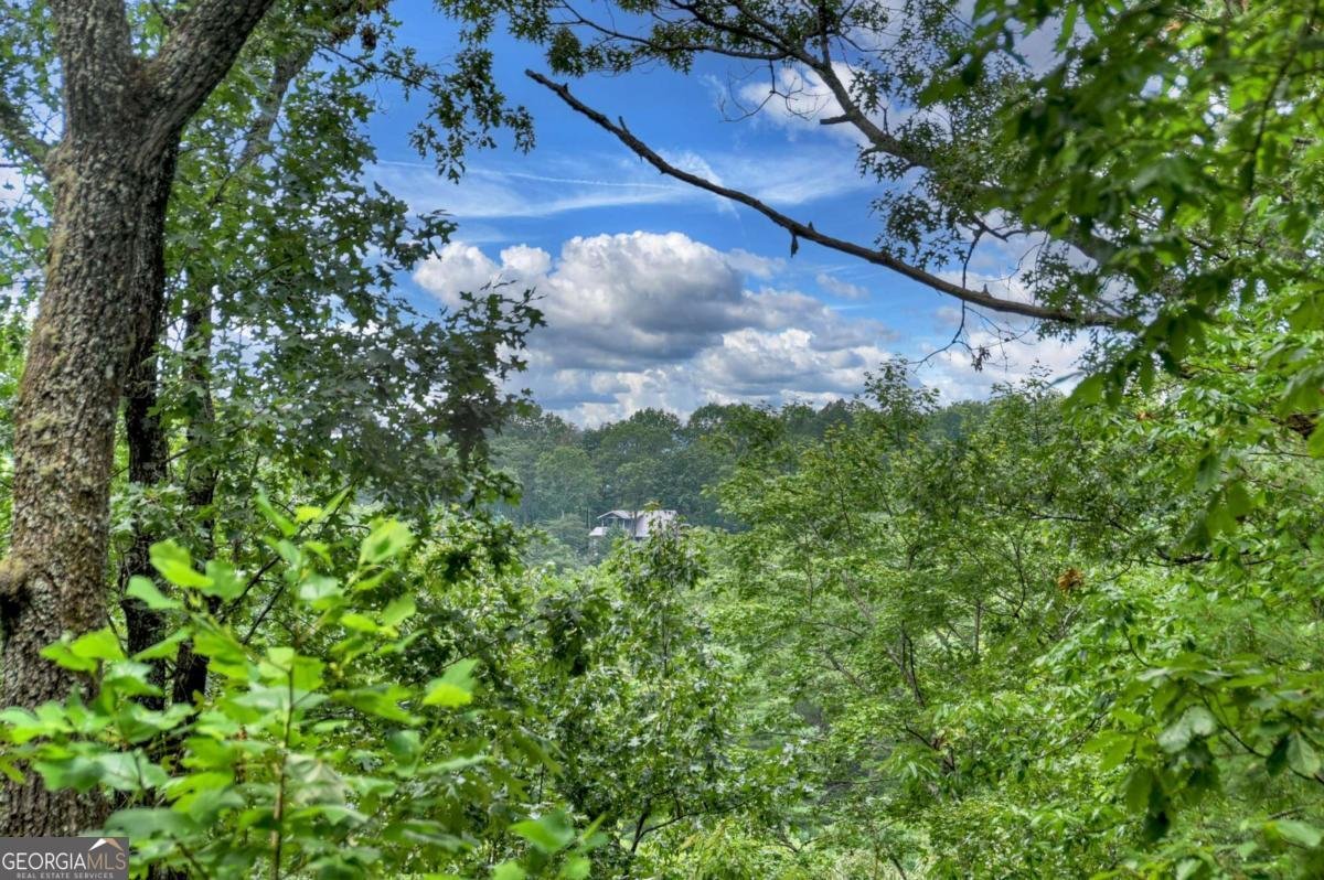 156 Dupont Drive Blue Ridge - 20