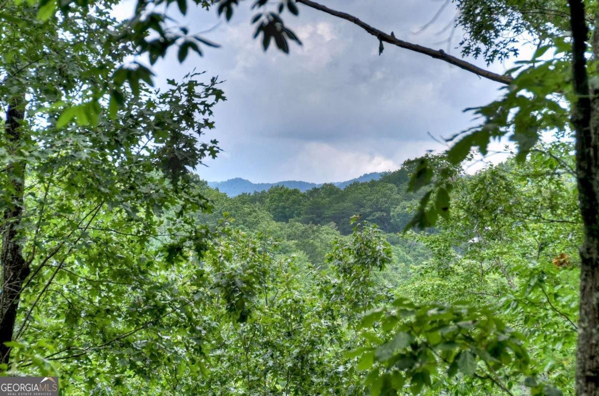 156 Dupont Drive Blue Ridge - 3