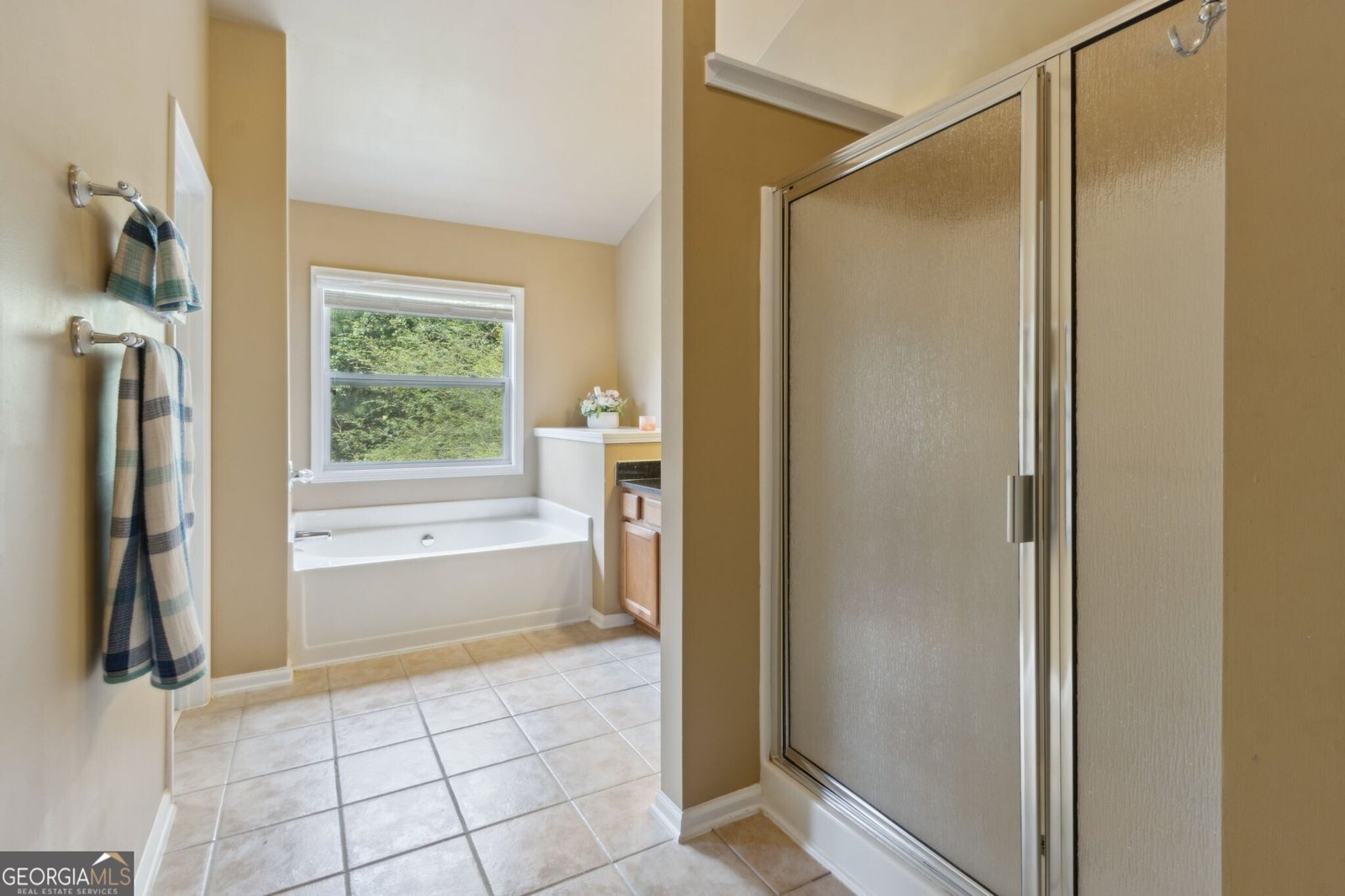 2402 Jasmine Glen Drive Buford - 31