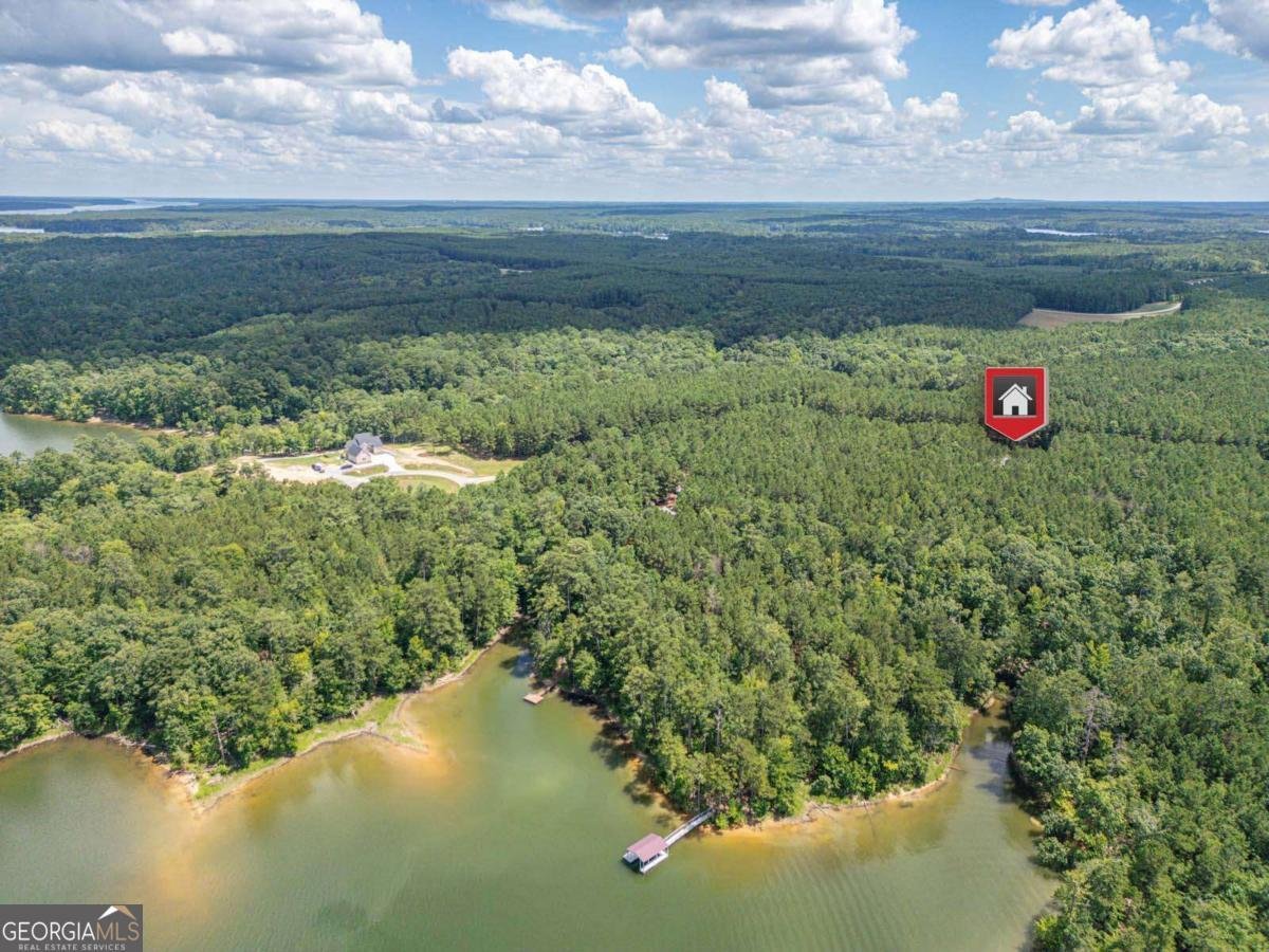 1165 Watersedge Cove Tignall - 25
