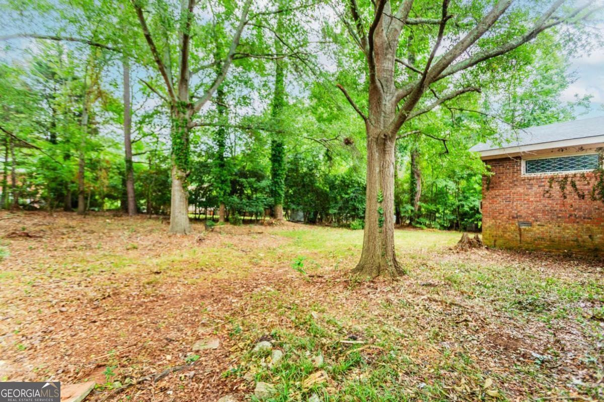 155 Sweet Gum Drive Athens - 41