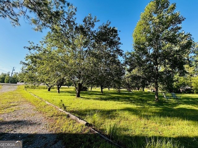 359 Gordon Highway Gordon - 15