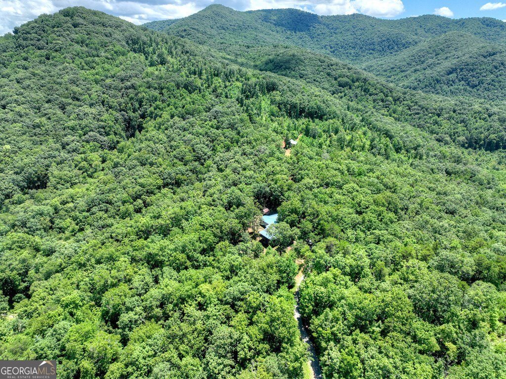 1170 Winchester Creek Young Harris - 33