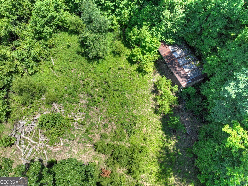 1170 Winchester Creek Young Harris - 37