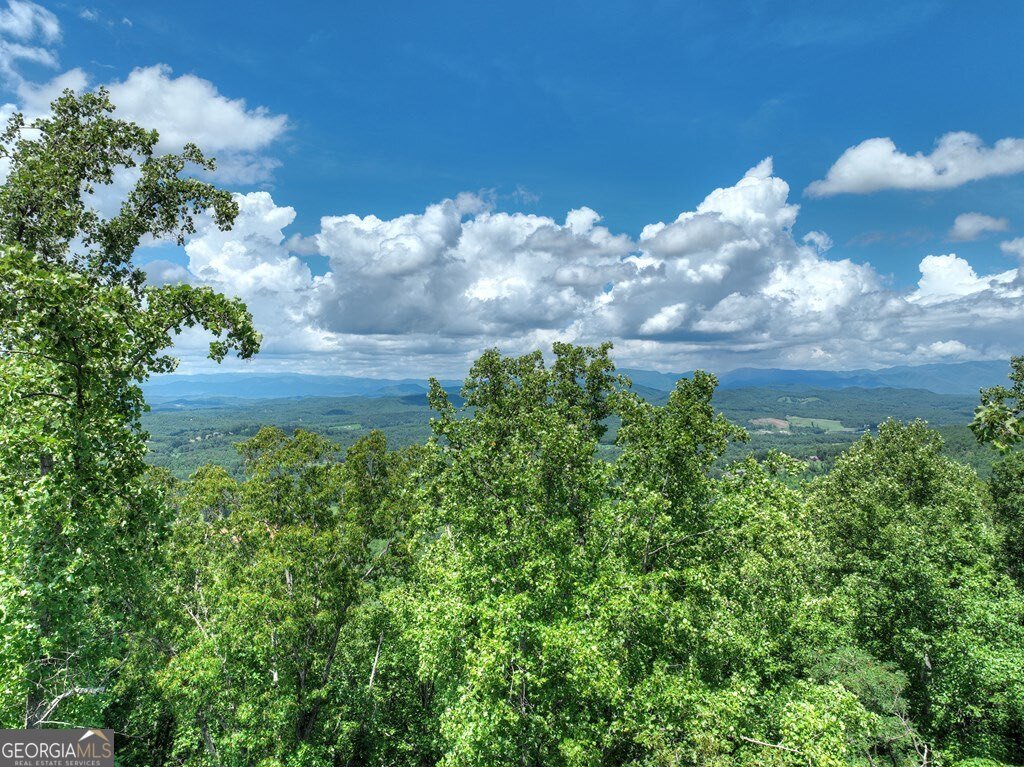 1170 Winchester Creek Young Harris - 41