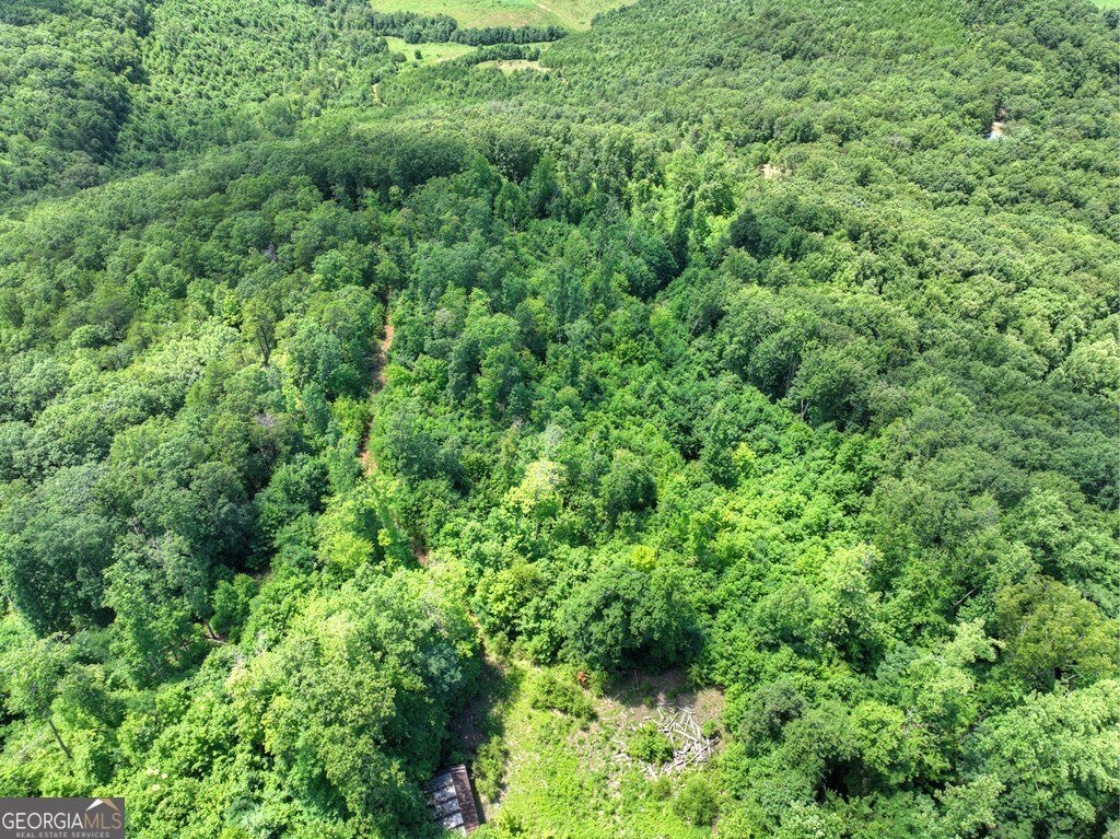 1170 Winchester Creek Young Harris - 47
