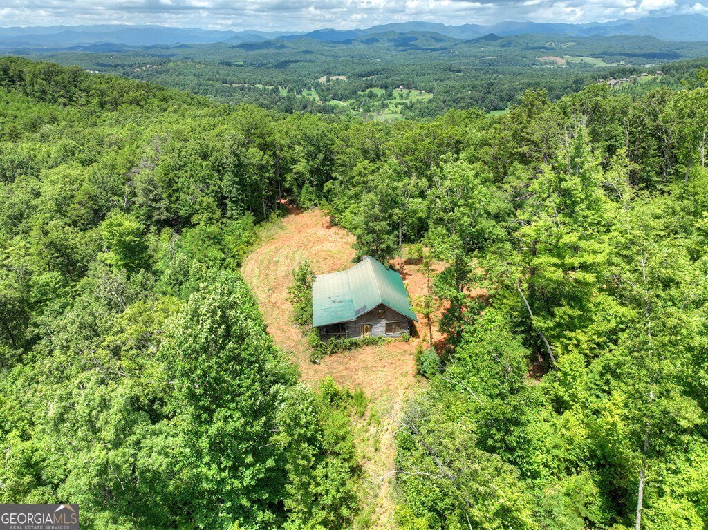 1170 Winchester Creek Young Harris - 51