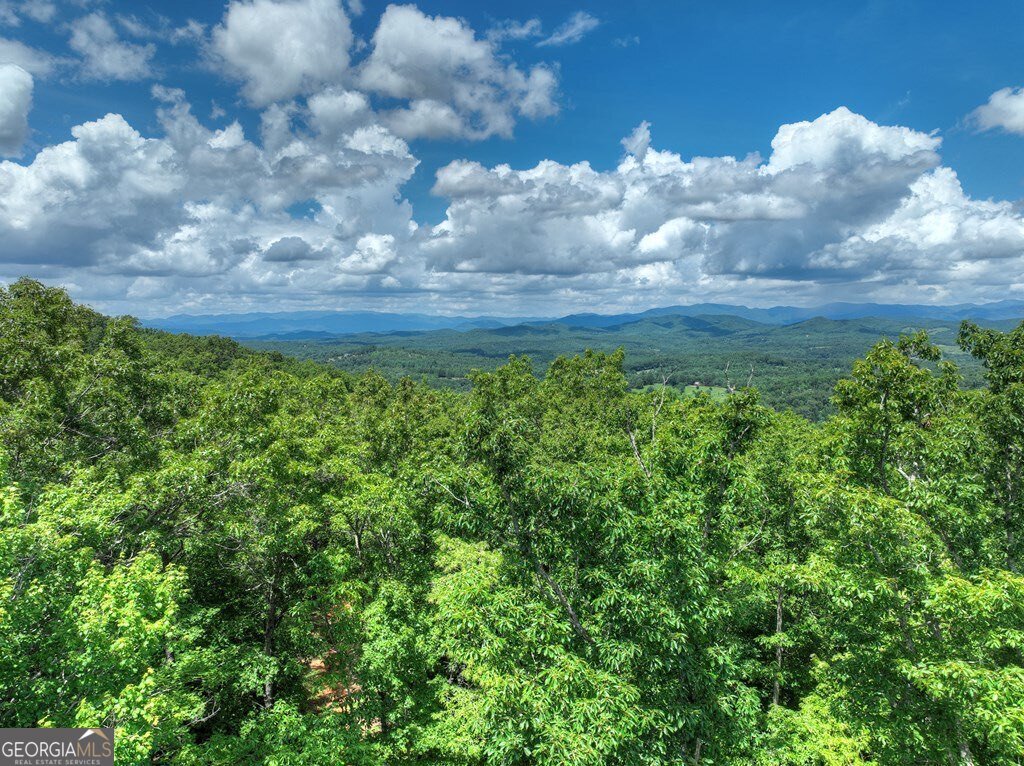 1170 Winchester Creek Young Harris - 54