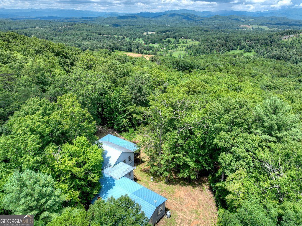 1170 Winchester Creek Young Harris - 56